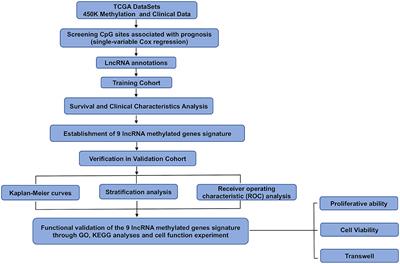 A Signature of Nine lncRNA <mark class="highlighted">Methylated Genes</mark> Predicts Survival in Patients With Glioma